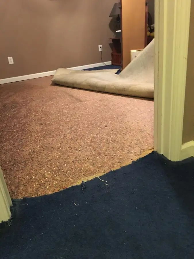 Carpet pad removal revealing water damage during Drying & Dehumidification in Latrobe